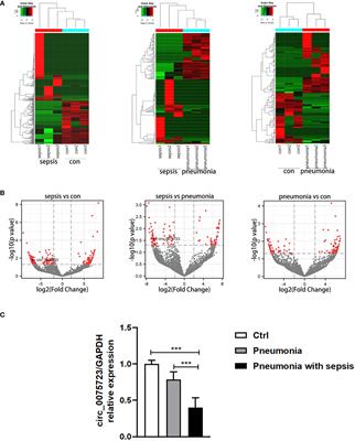 Frontiers Circrna Protects Against Pneumonia Induced Sepsis